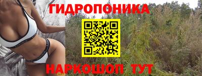 гашик Лесосибирск