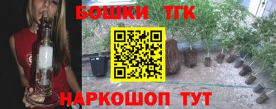 гашик Лесосибирск