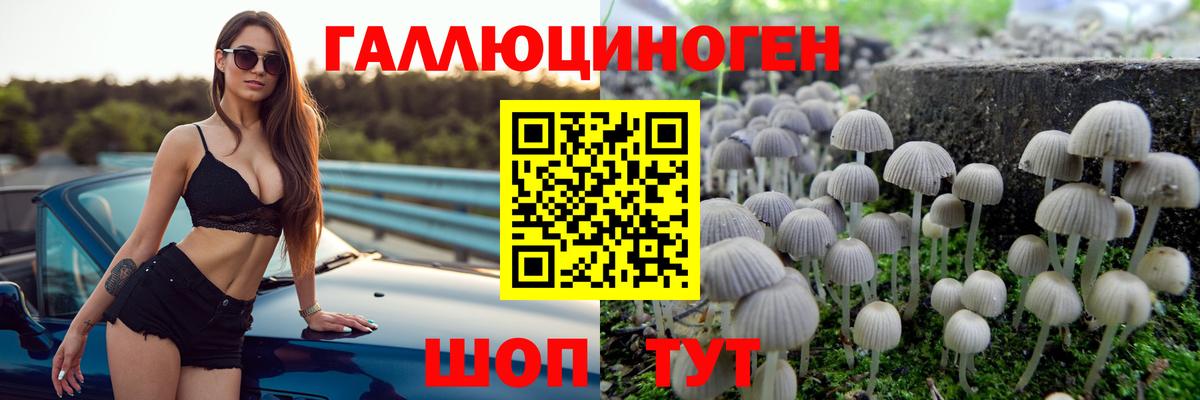Грязи  Галлюциногенные грибы Psilocybe  Вход с VPN 